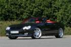 mercedes_sl_r230_2001_037_small.jpg